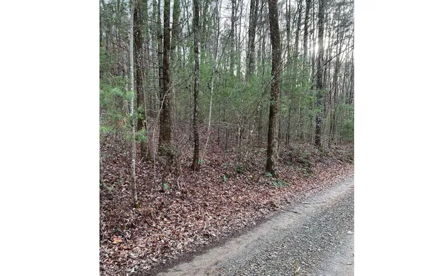 $159,000 | 9-17 Mary Lane, Hayesville, NC 28904