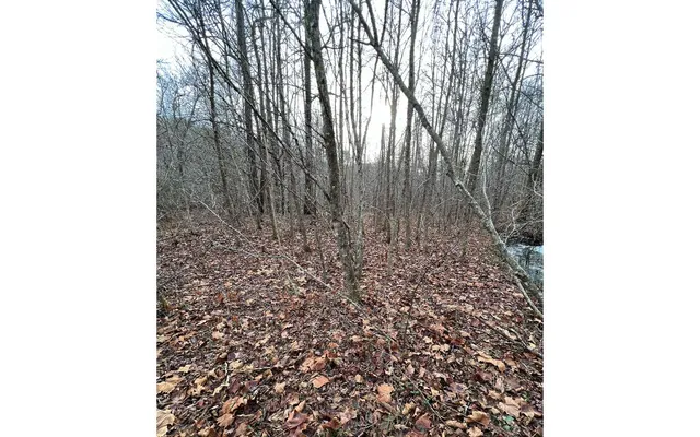 $159,000 | 9-17 Mary Lane, Hayesville, NC 28904