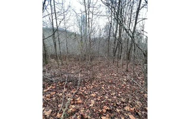 $159,000 | 9-17 Mary Lane, Hayesville, NC 28904