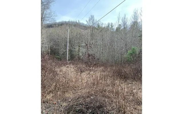 $159,000 | 9-17 Mary Lane, Hayesville, NC 28904