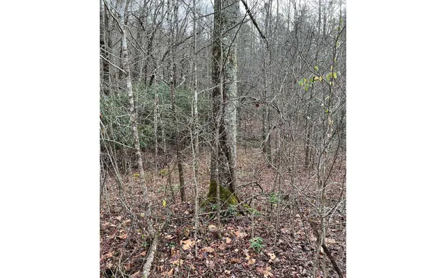 $159,000 | 9-17 Mary Lane, Hayesville, NC 28904