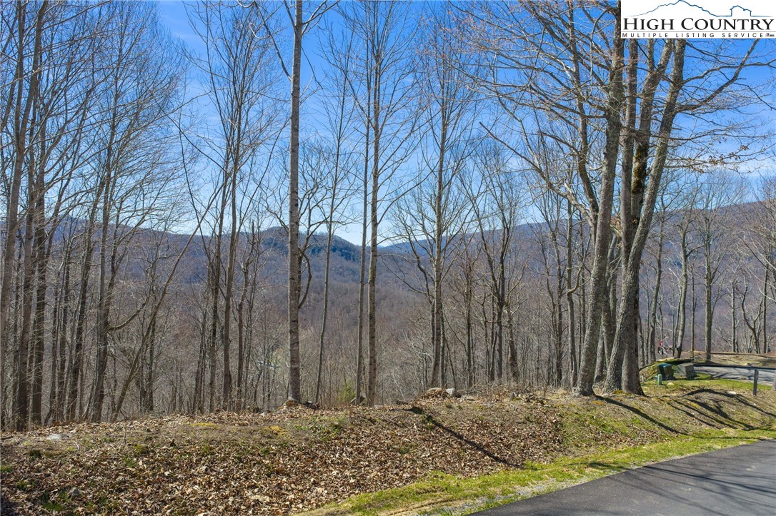 Lot 80 Bear Paw Road Elk Park, NC 28622 - Photo 17 of 19