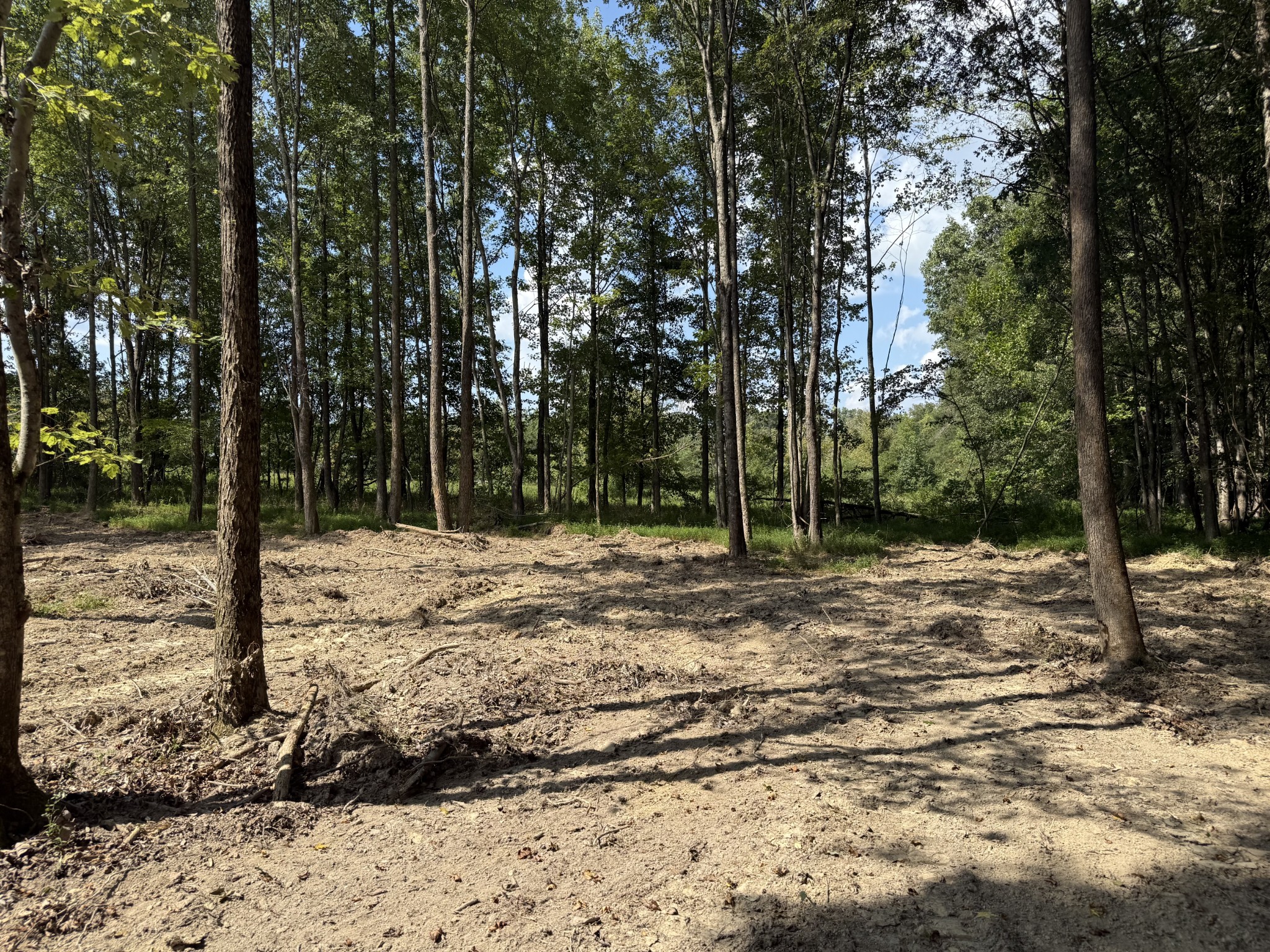 0 Old Baxter Road Silver Point, TN 38582 - Photo 12 of 18 a view of a yard with trees