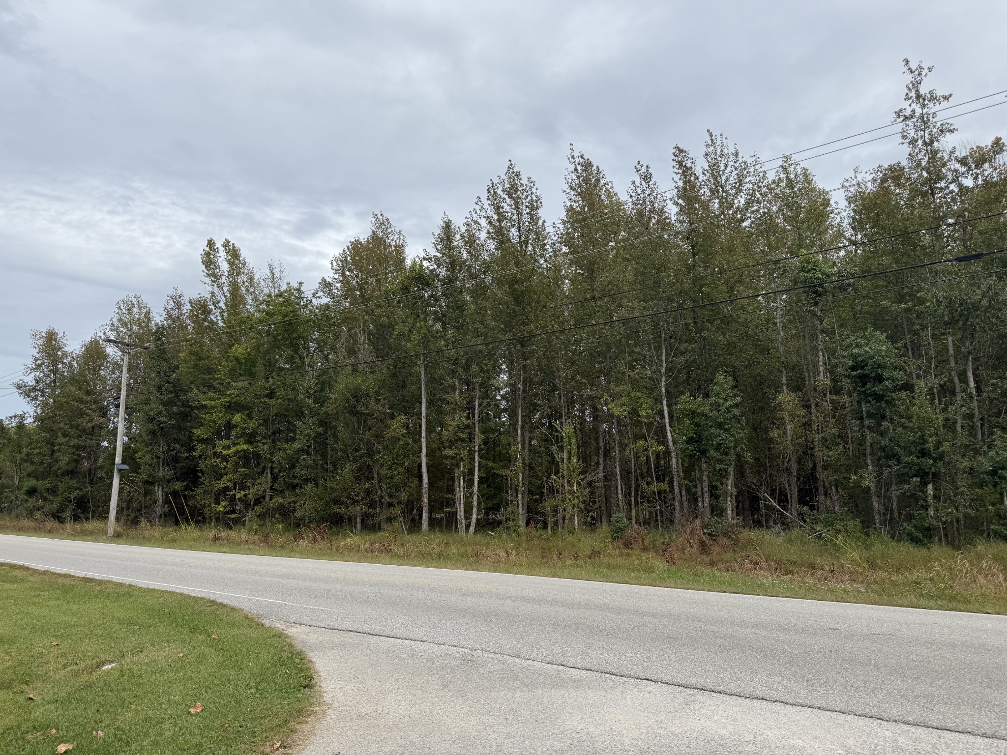 0 Old Baxter Road Silver Point, TN 38582 - Photo 14 of 18 a view of a yard with a trees