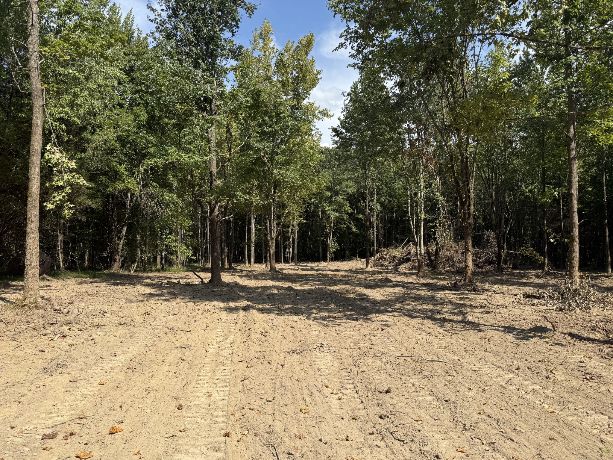 0 Old Baxter Road Silver Point, TN 38582 - Photo 4 of 18 a view of a yard with a trees
