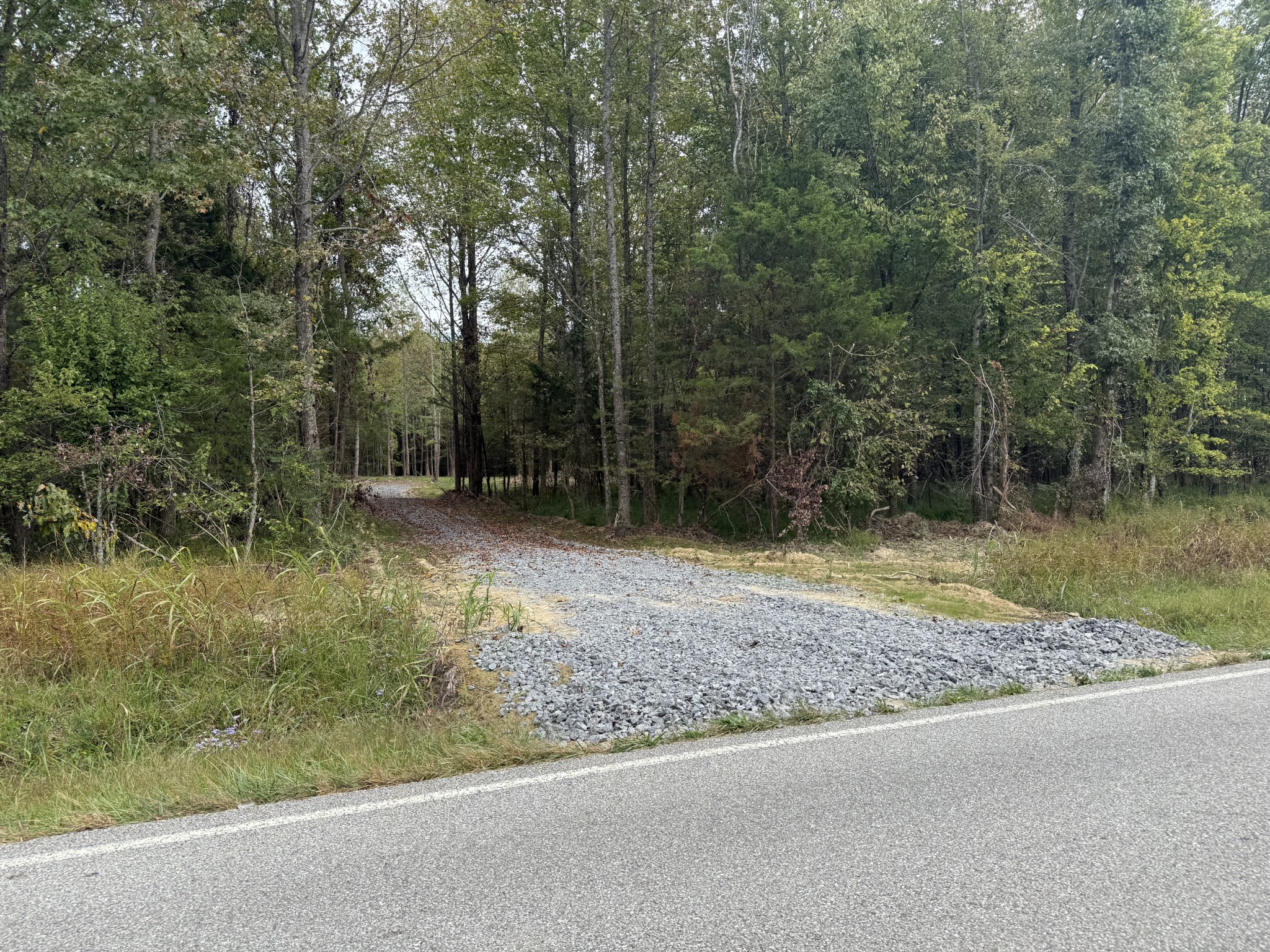 0 Old Baxter Road Silver Point, TN 38582 - Photo 5 of 18 a view of backyard with green space