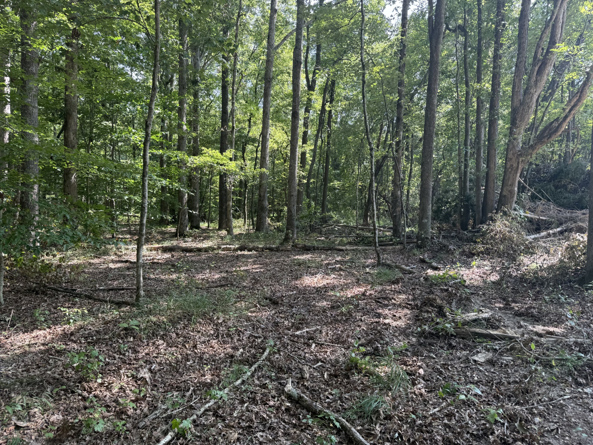 0 Old Baxter Road Silver Point, TN 38582 - Photo 6 of 18 a view of outdoor space and green space