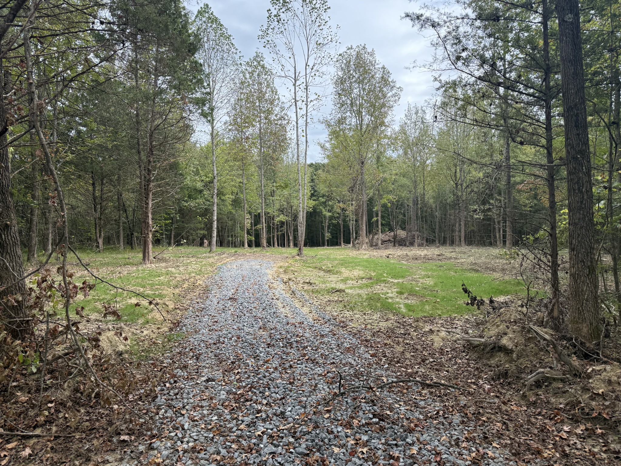 0 Old Baxter Road Silver Point, TN 38582 - Photo 7 of 18 a view of a park with a tree