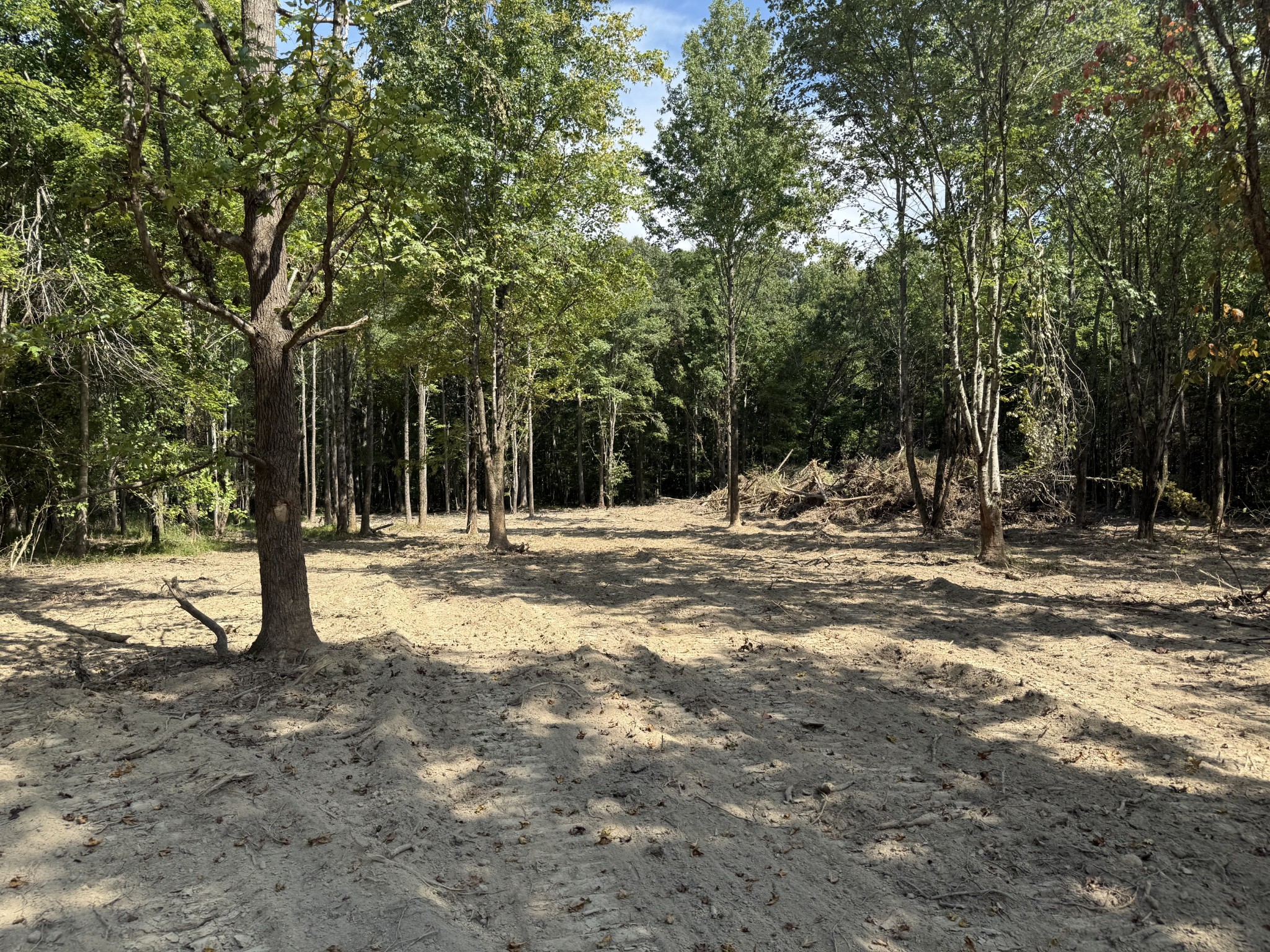 0 Old Baxter Road Silver Point, TN 38582 - Photo 8 of 18 a view of outdoor space with trees