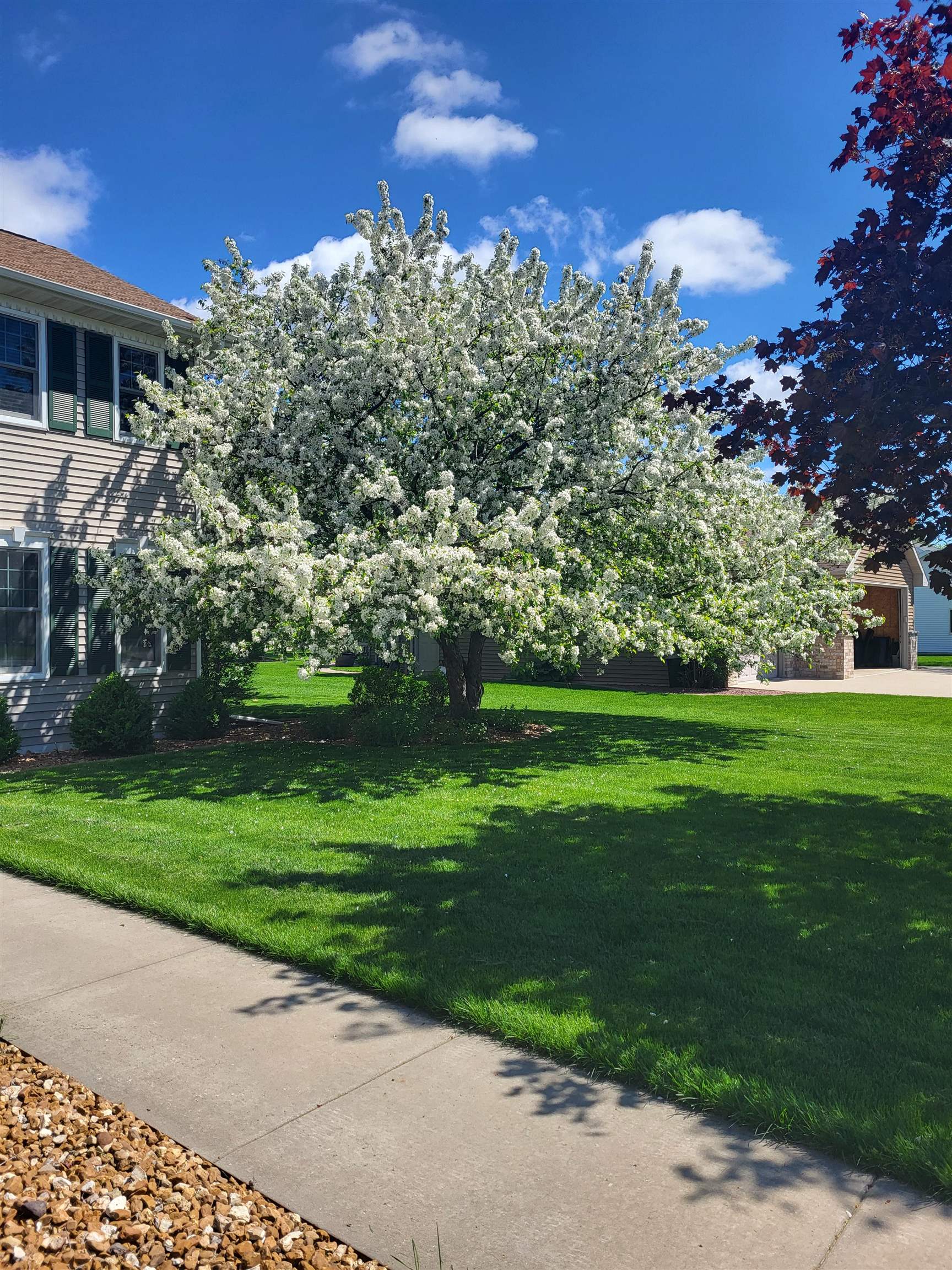 W6074 Strawflower Drive Appleton, WI 54915 - Photo 53 of 53