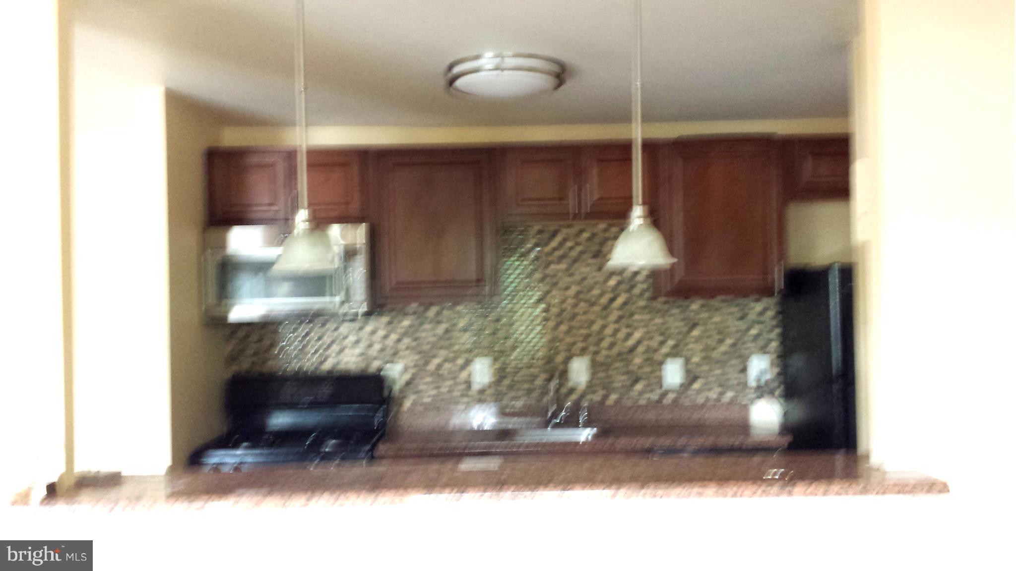 9280 Adelphi Road, Unit 2 Hyattsville, MD 20783 - Photo 4 of 11 Kitchen