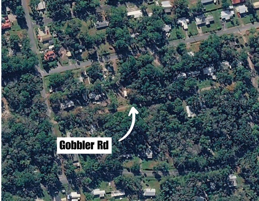 Gobbler Road Astor, FL 32102 - Photo 9 of 33 Gallery Image 9
