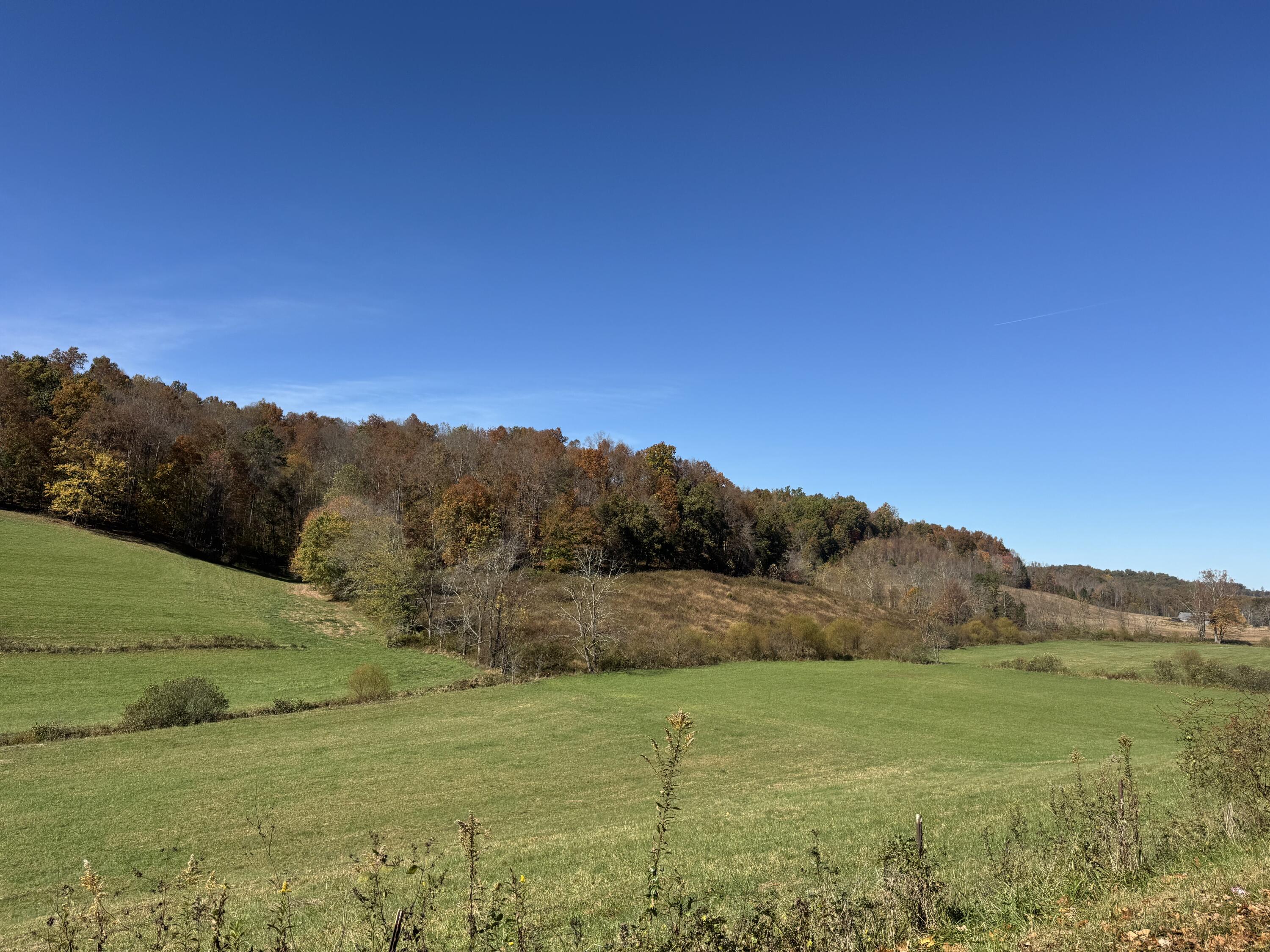 1052 Maulden Branch Road Tyner, KY 40486 - Photo 5 of 22 IMG_6092
