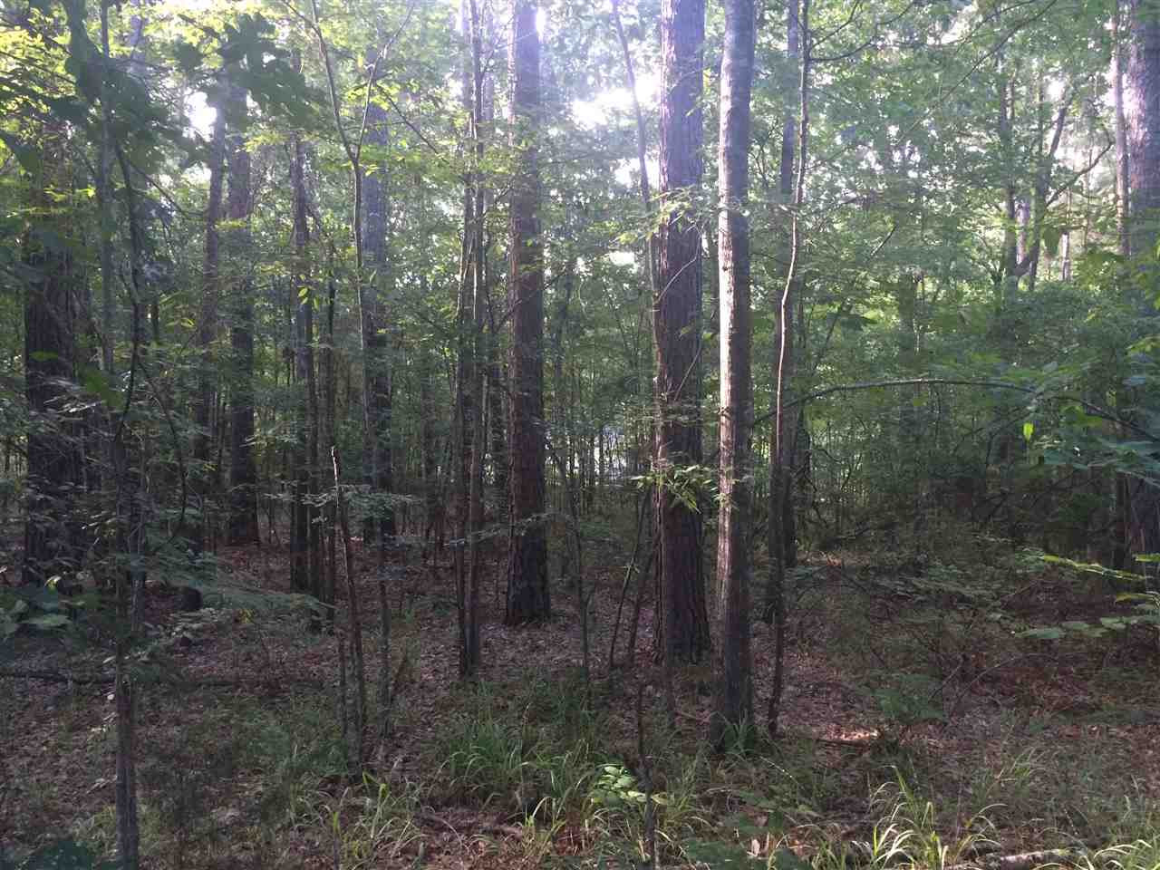 0 Covenant Road, Unit 448 Pearl, MS 39208 - Photo 3 of 8 Photo 3