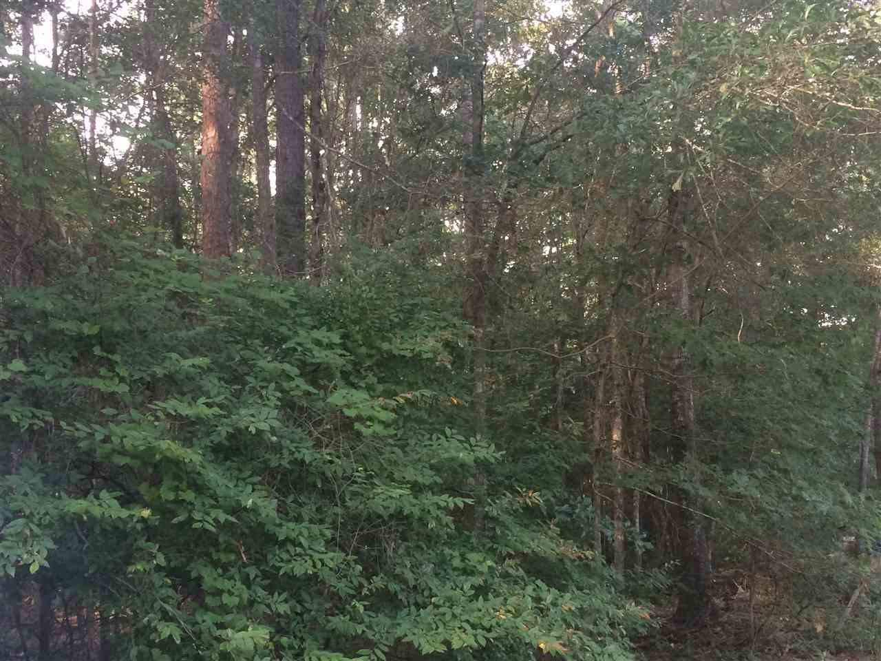 0 Covenant Road, Unit 448 Pearl, MS 39208 - Photo 6 of 8 Photo 6