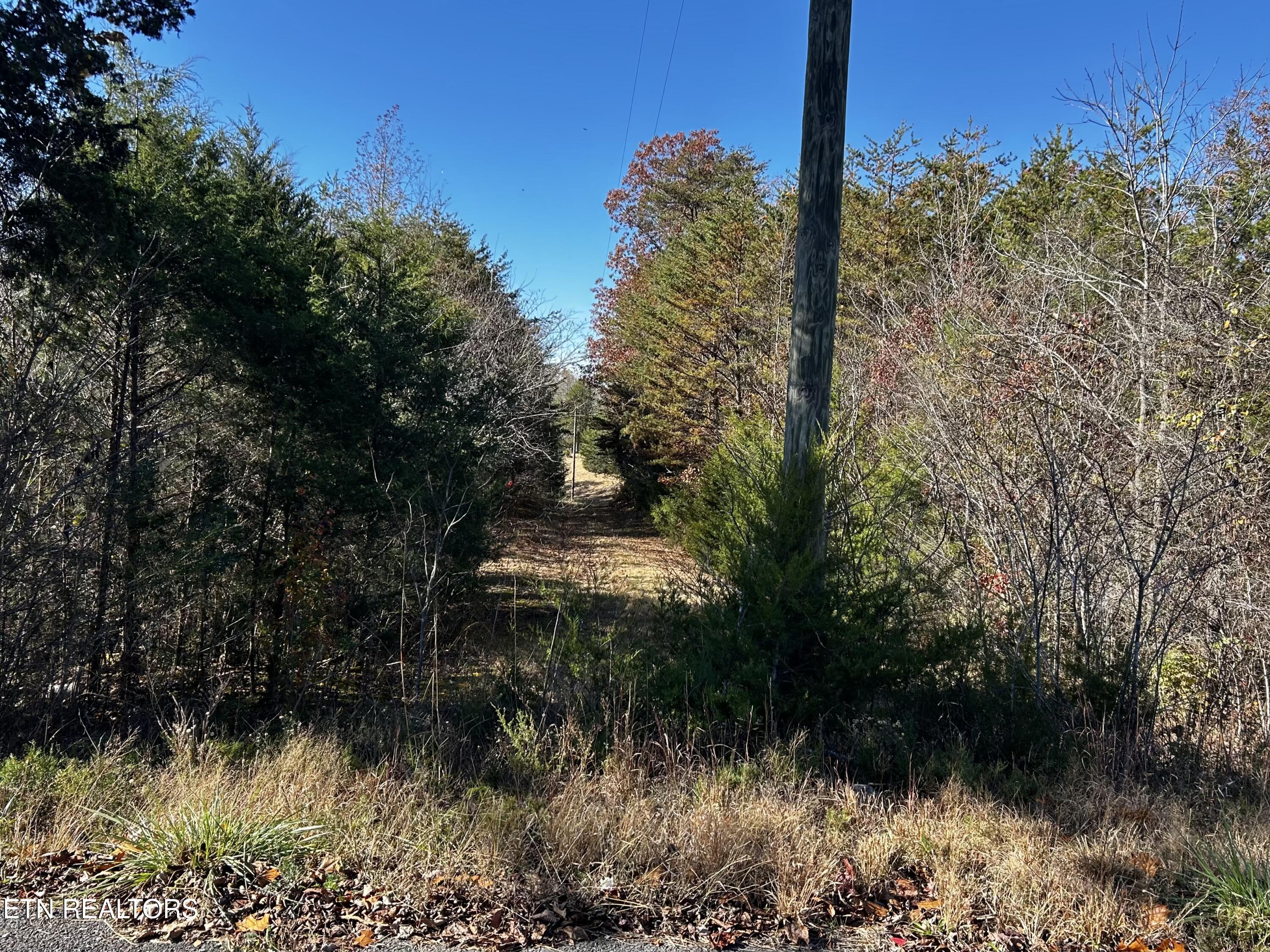 Shaddon Road Tellico Plains, TN 37385 - Photo 3 of 4 IMG_7637