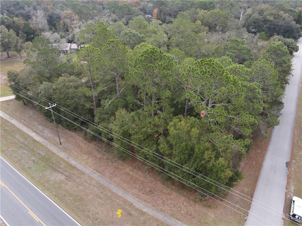40 EAST Inglis Inglis, FL 34449 - Photo 1 of 1 a view of a forest with skyline