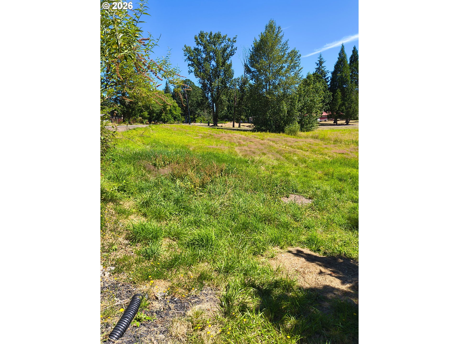 57510 South Morse Road Warren, OR 97053 - Photo 5 of 26