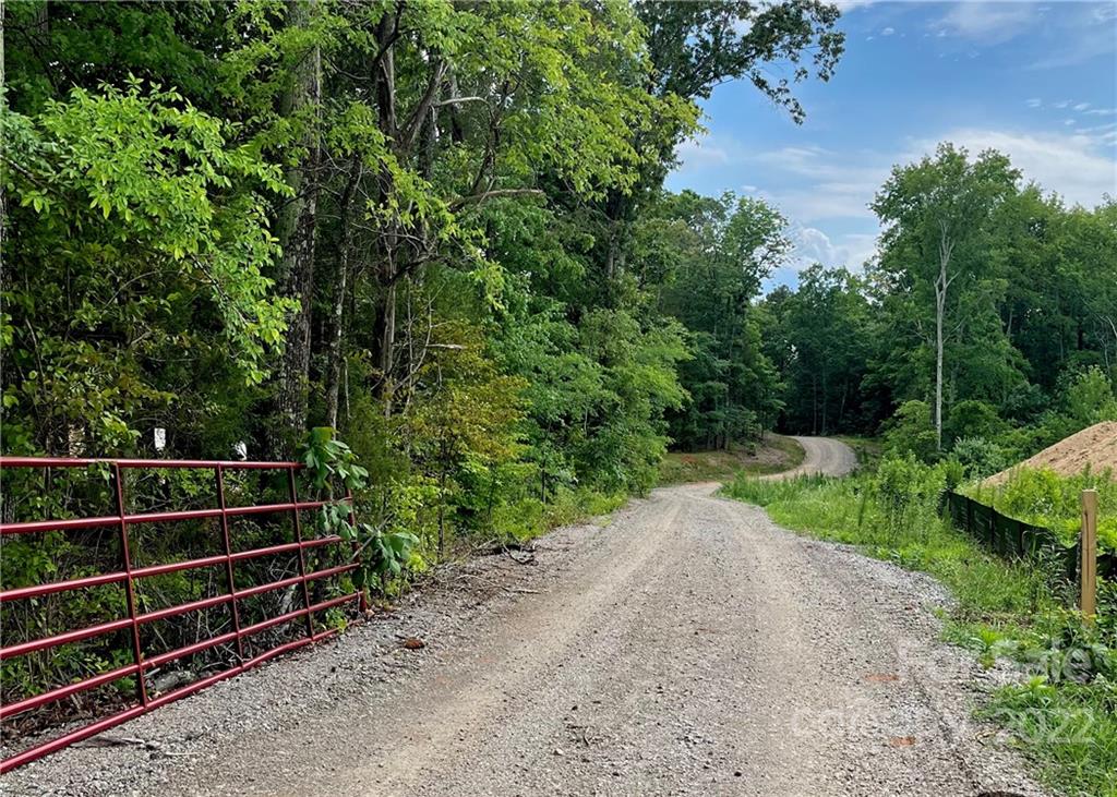 a view of outdoor space and yard