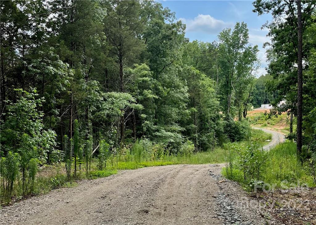 3423 Barr Road Concord, NC 28027 - Photo 2 of 5 a view of a yard with plants and large trees