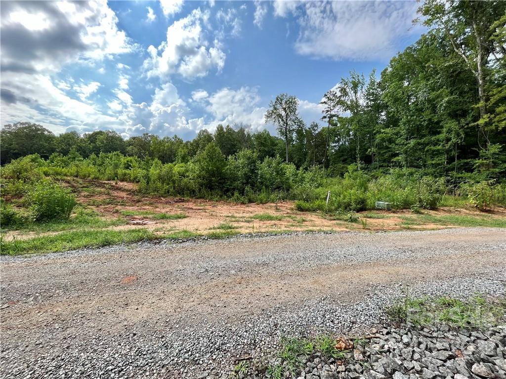 3423 Barr Road Concord, NC 28027 - Photo 3 of 5 a view of a yard with a tree