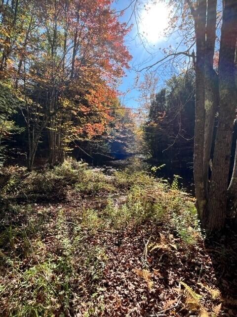 4 R9-lot Road Lebanon, ME 04027 - Photo 26 of 30 river2