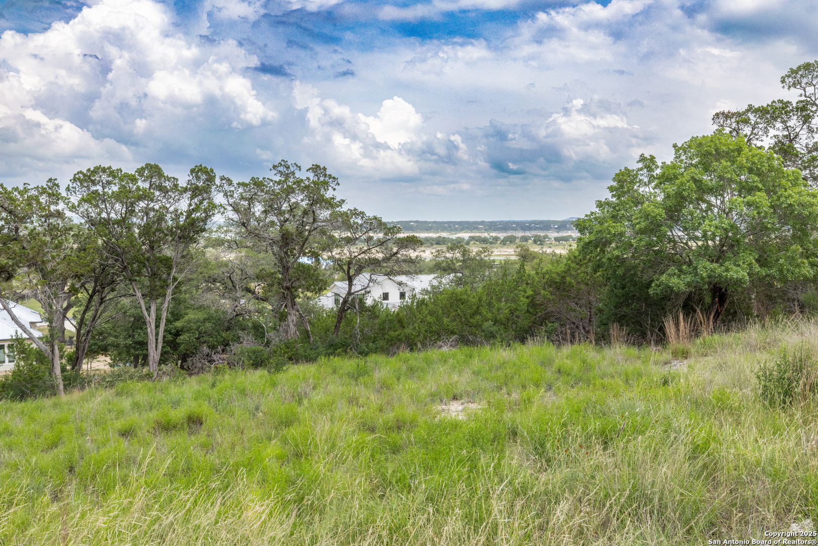 161 Puzzle Pass Spring Branch, TX 78070 - Photo 12 of 18 a view of a garden