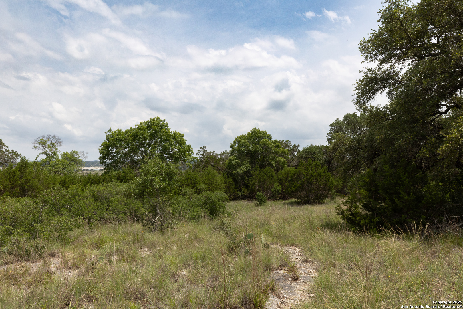 161 Puzzle Pass Spring Branch, TX 78070 - Photo 13 of 18 a view of a field of grass and trees