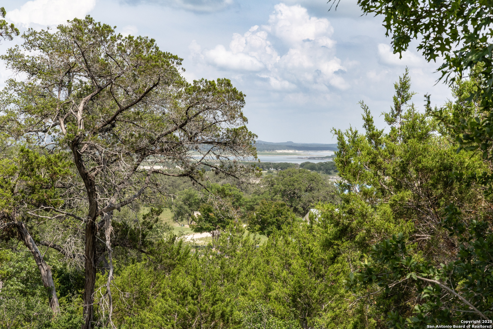 161 Puzzle Pass Spring Branch, TX 78070 - Photo 3 of 18 a aerial view of a houses with yard