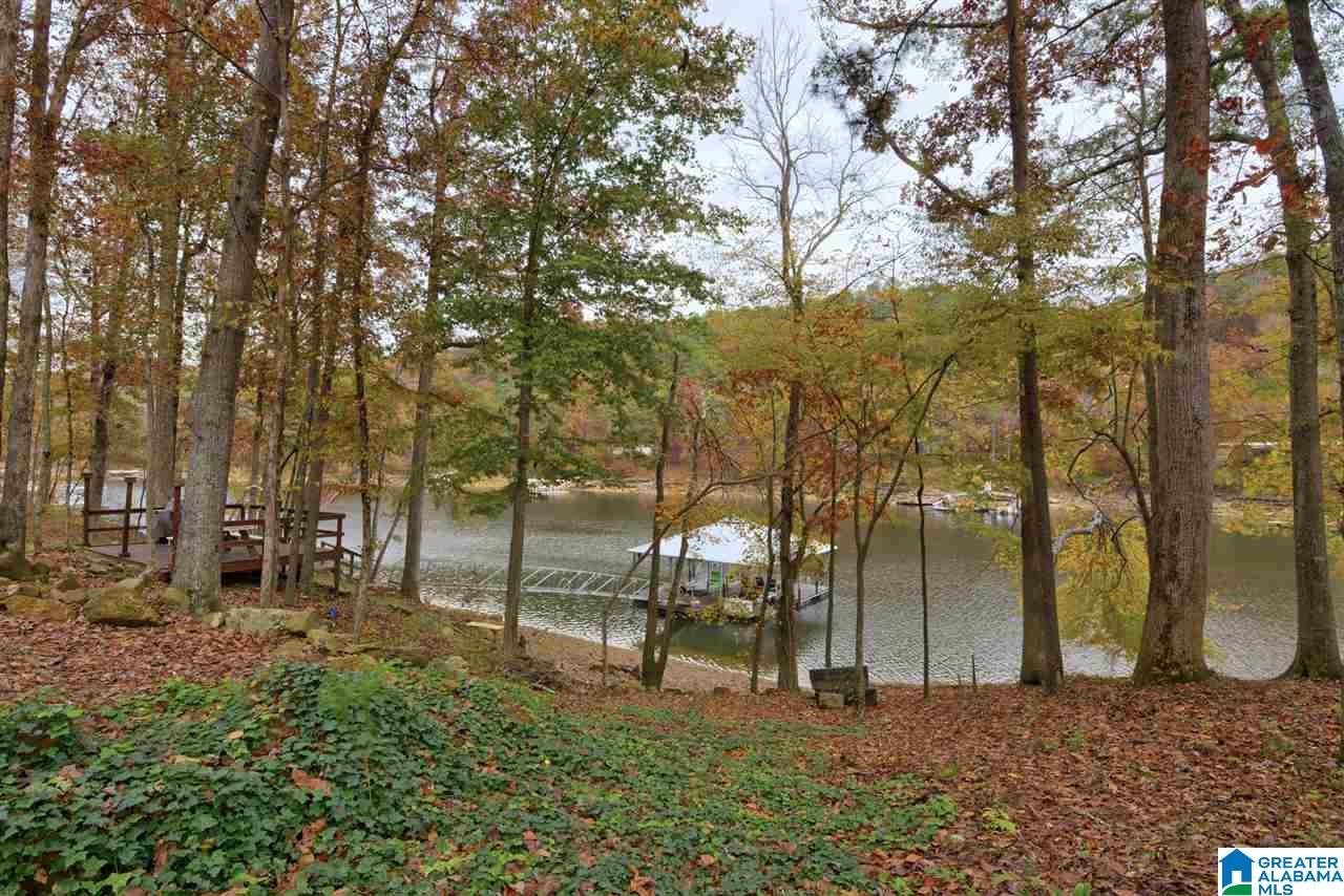102 North Pointe Drive Arley, AL 35541 - Photo 33 of 45