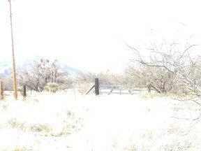 13545 South Bell Road Benson, AZ 85602 - Photo 2 of 9