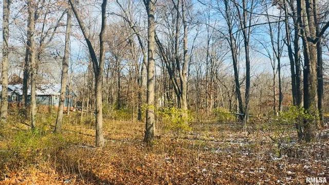 $10,000 | 0 White Birch Court, Benton, IL 62812