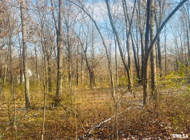 $10,000 | 0 White Birch Court, Benton, IL 62812