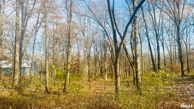 $10,000 | 0 White Birch Court, Benton, IL 62812