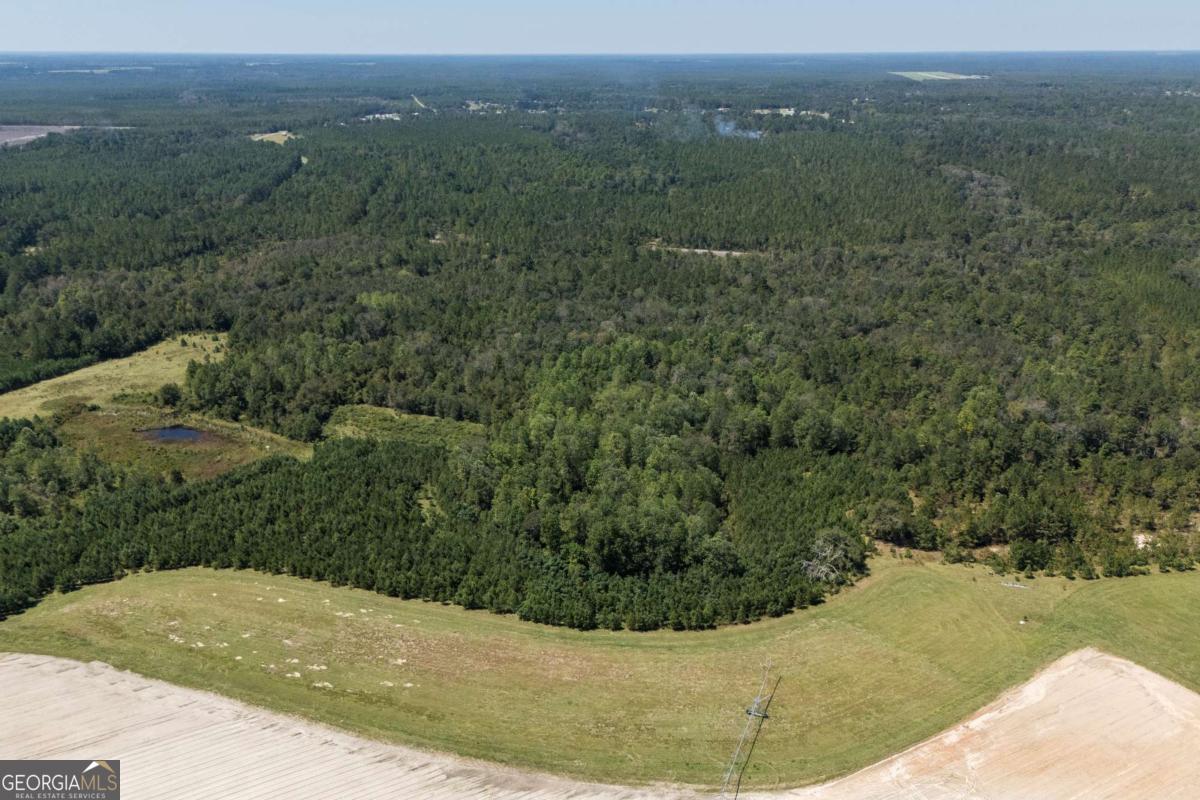 1603 Dl Durrence Road Reidsville, GA 30453 - Photo 15 of 28 a view of a dry yard