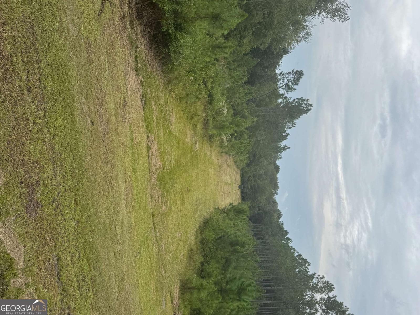 1603 Dl Durrence Road Reidsville, GA 30453 - Photo 26 of 28