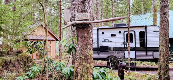 a front view of house with yard and outdoor seating