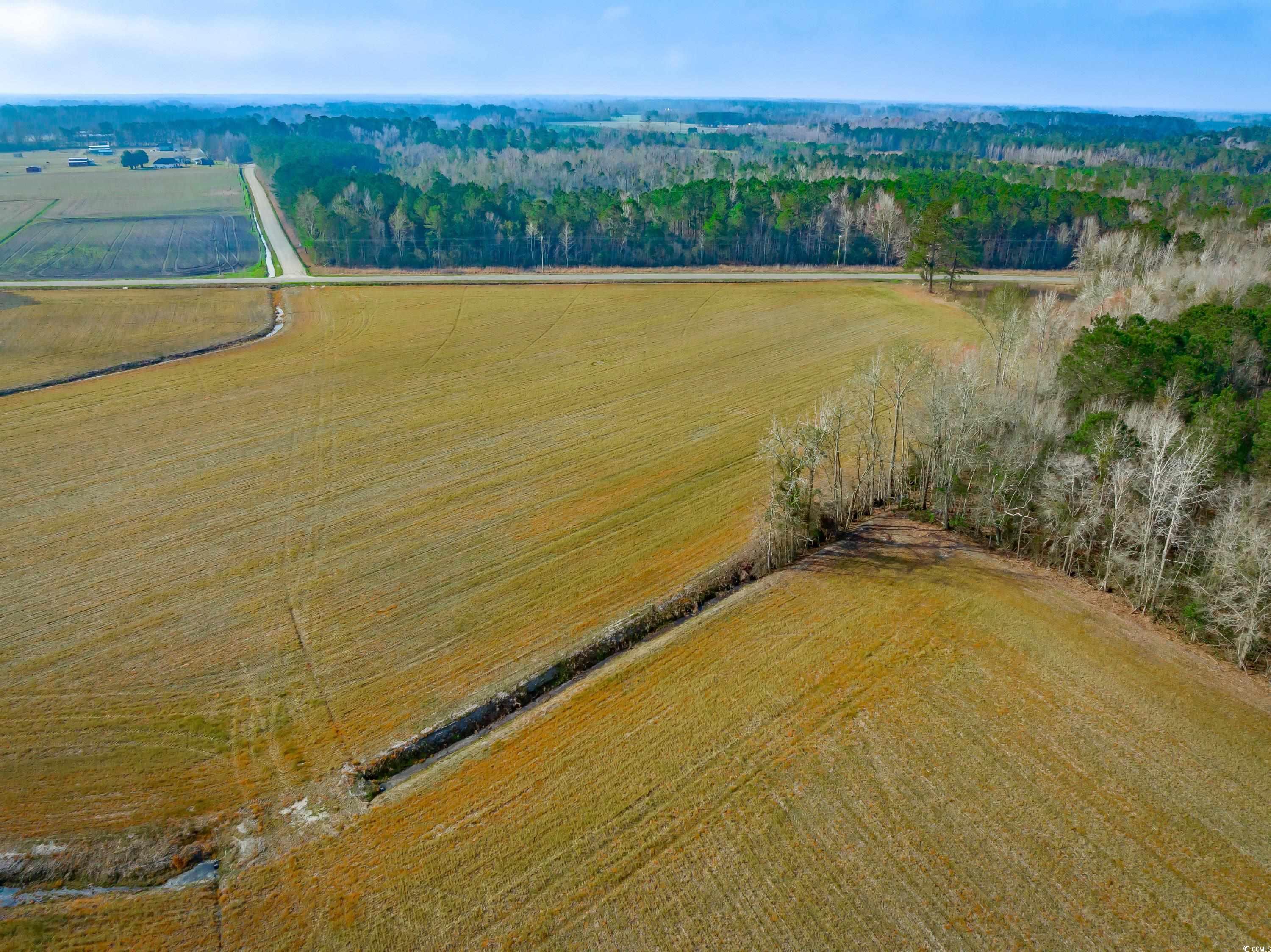 4705 Carolina Road Green Sea, SC 29545 - Photo 8 of 11