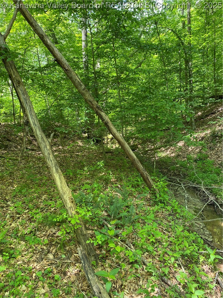 3145 Barker Ridge Road Milton, WV 25541 - Photo 42 of 46 Gallery Image 42