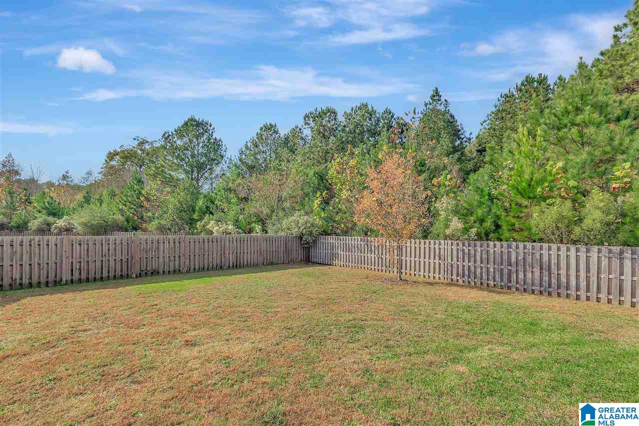 22792 Rimbred Court McCalla, AL 35111 - Photo 34 of 36