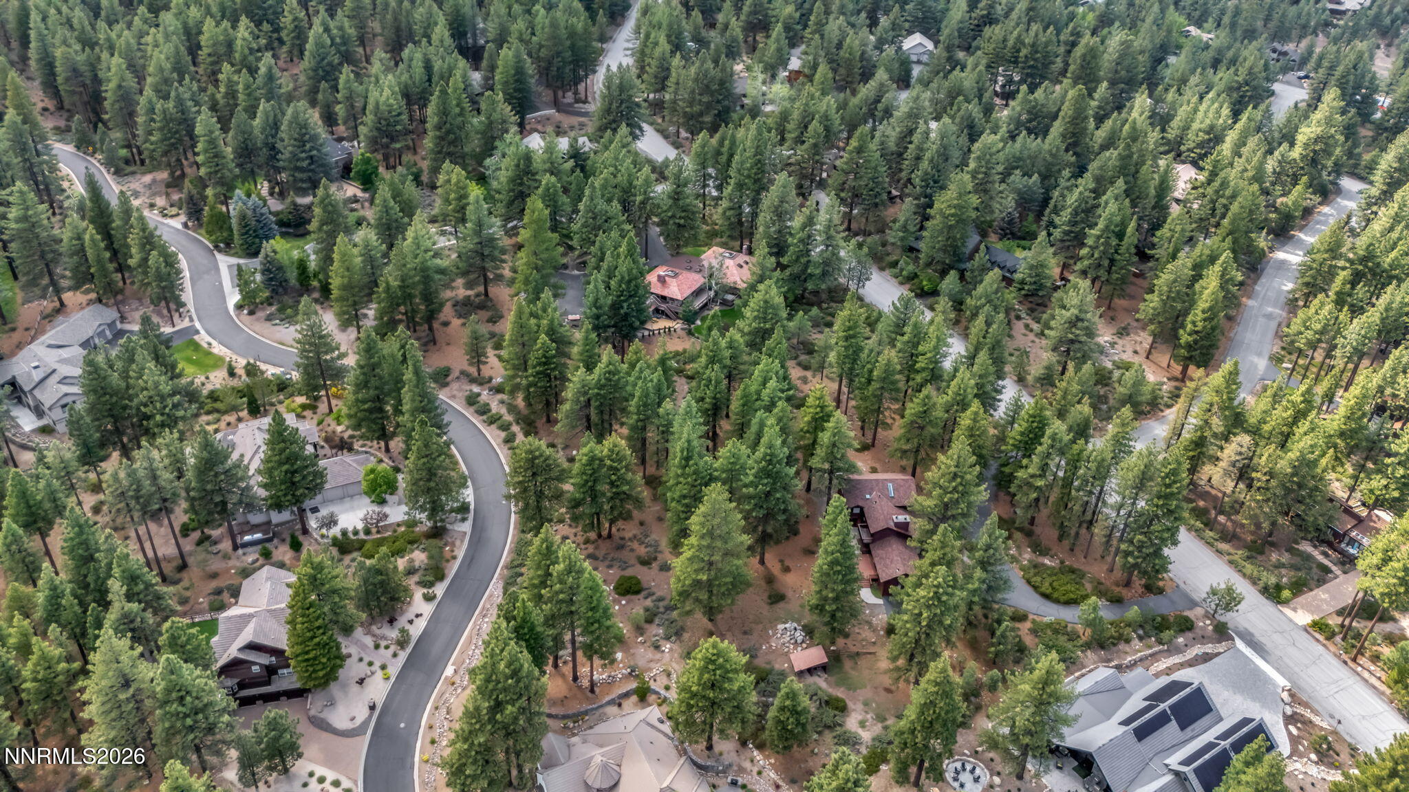 307 East Jeffrey Pine Road Reno, NV 89511 - Photo 13 of 22 an aerial view of residential house with outdoor space and trees all around