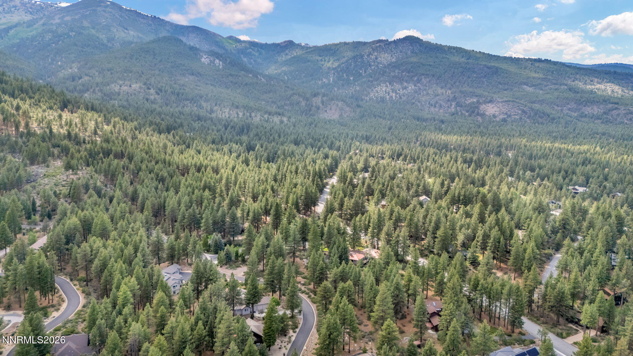 307 East Jeffrey Pine Road Reno, NV 89511 - Photo 18 of 22 a view of a dry yard