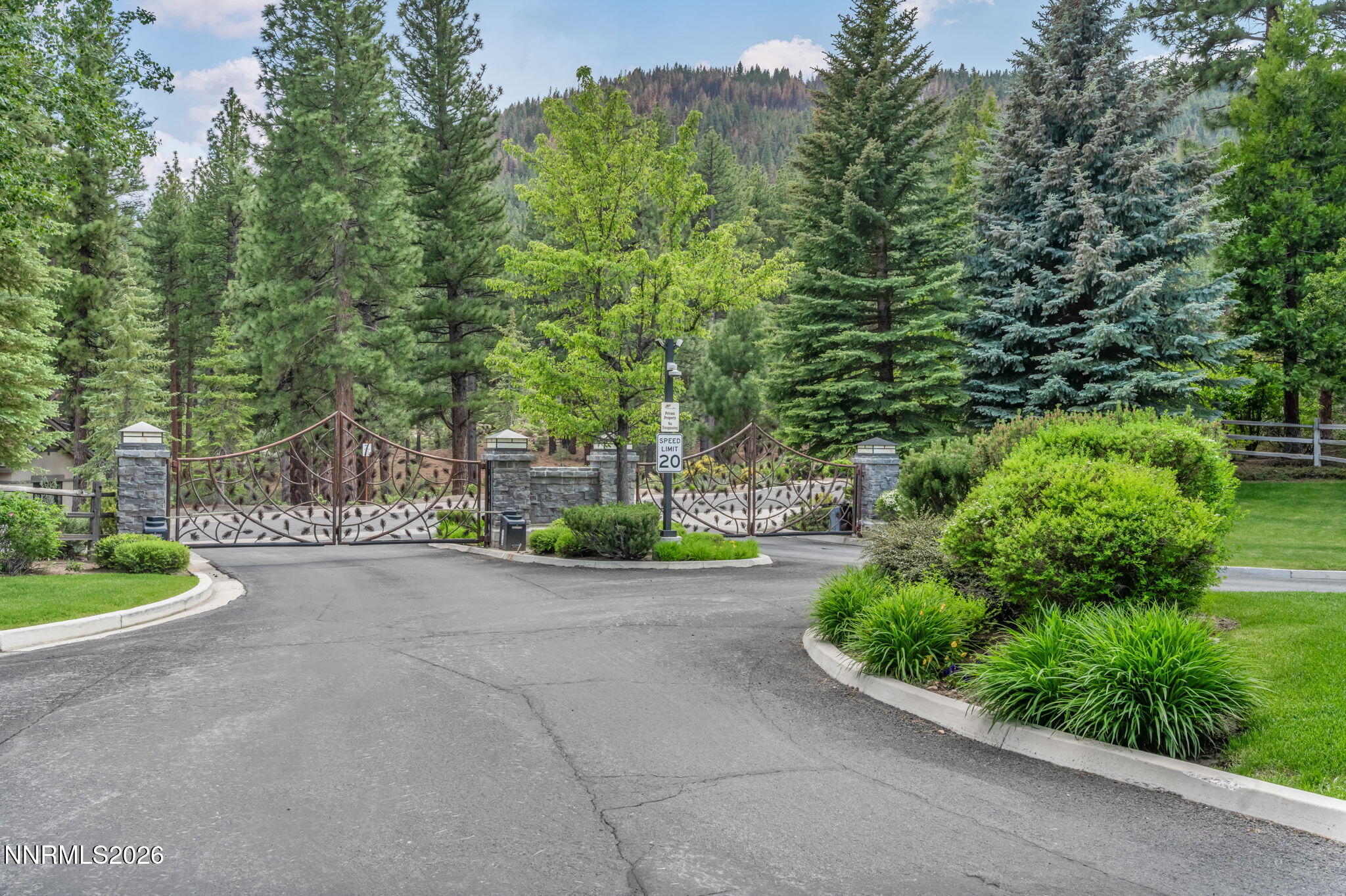 307 East Jeffrey Pine Road Reno, NV 89511 - Photo 2 of 22 a view of a garden with large trees
