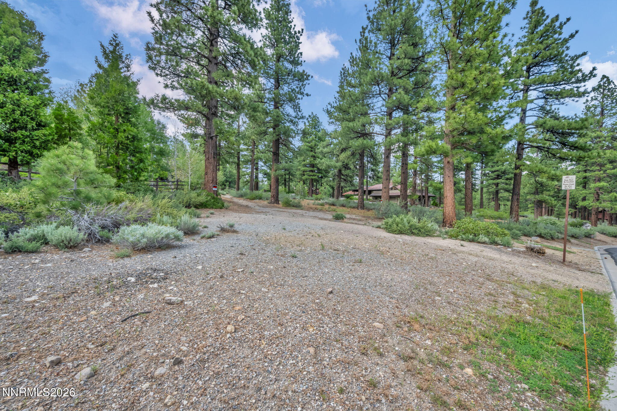 307 East Jeffrey Pine Road Reno, NV 89511 - Photo 3 of 22 a view of a dirt road and trees