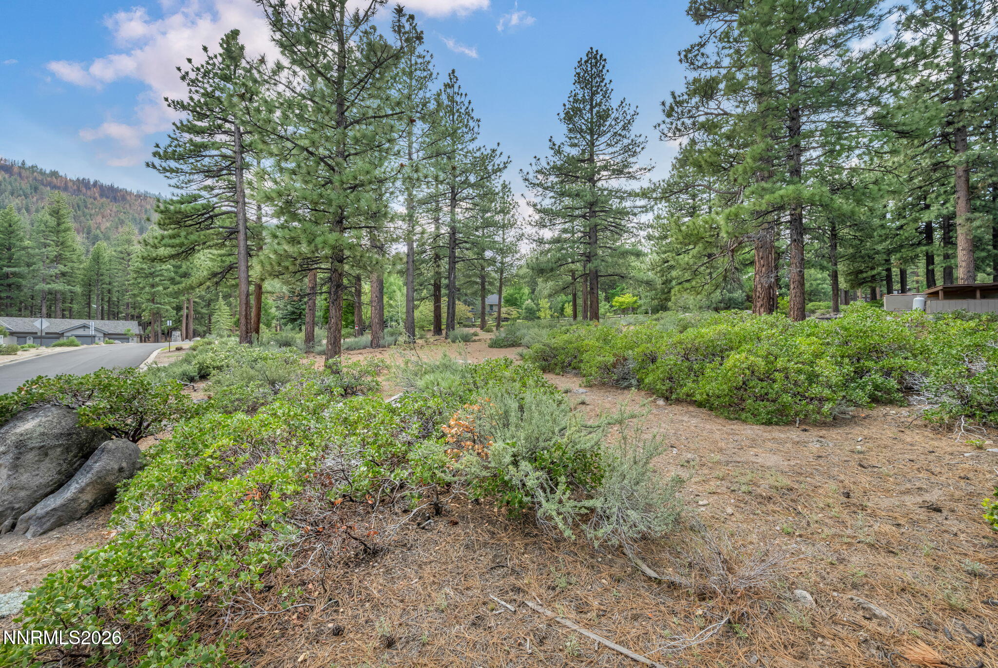 307 East Jeffrey Pine Road Reno, NV 89511 - Photo 9 of 22 a big yard with lots of green space and deers