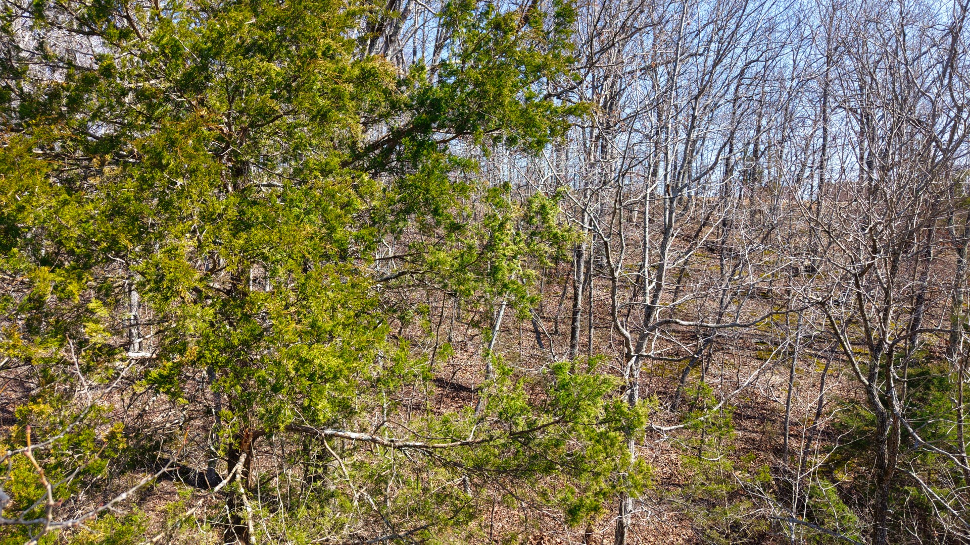 0 Smith Farm Road Nashville, TN 37221 - Photo 29 of 54 Gallery Image 29