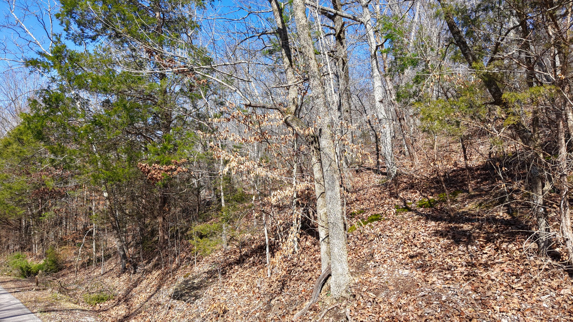 0 Smith Farm Road Nashville, TN 37221 - Photo 38 of 54 Gallery Image 38