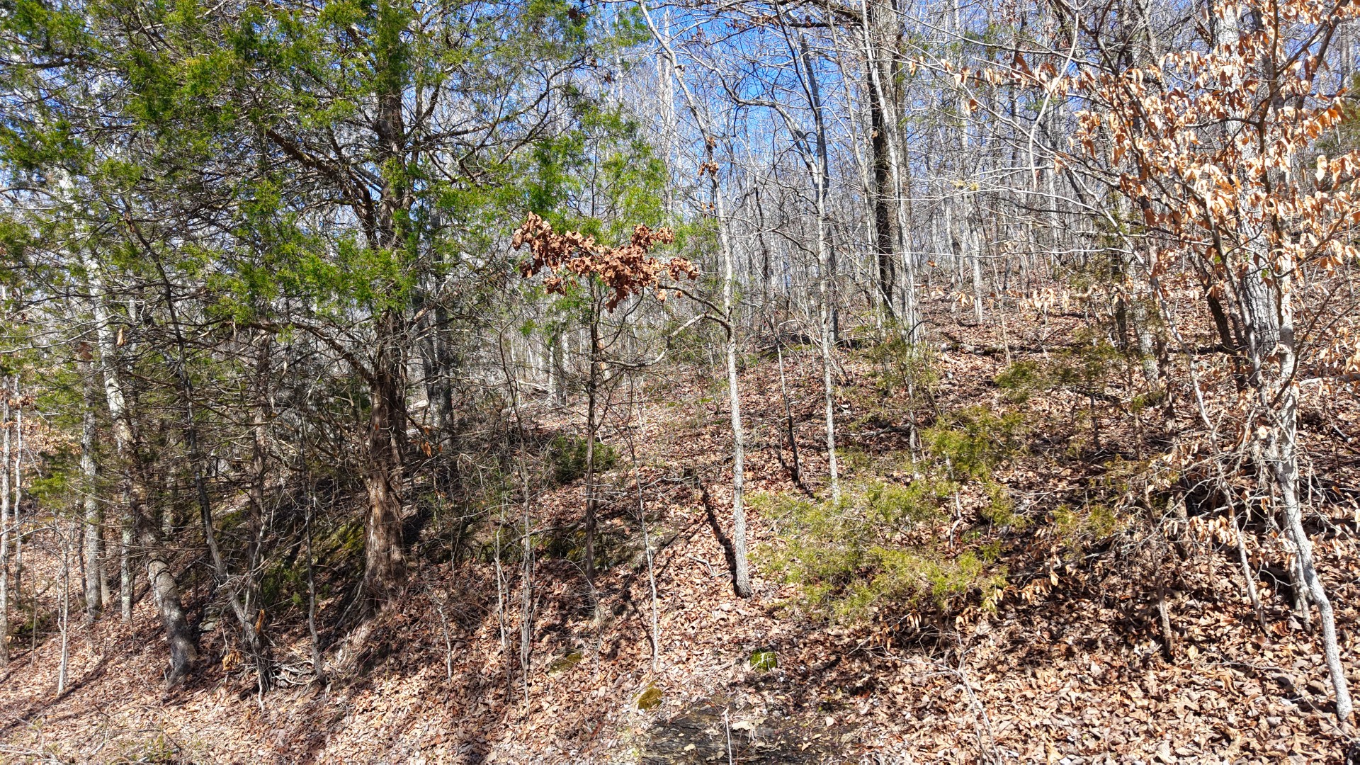0 Smith Farm Road Nashville, TN 37221 - Photo 40 of 54 Gallery Image 40