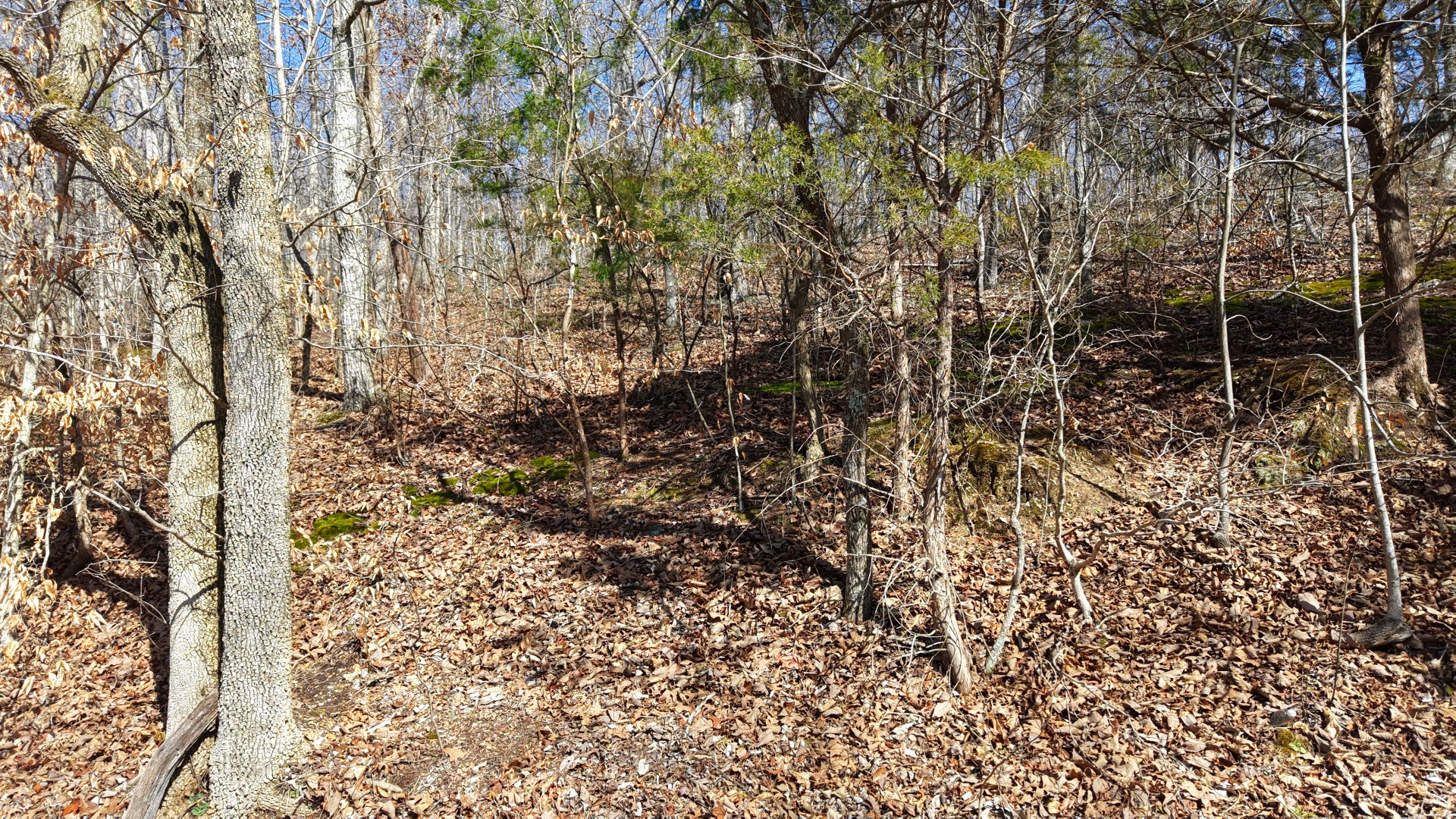 0 Smith Farm Road Nashville, TN 37221 - Photo 53 of 54 Gallery Image 53