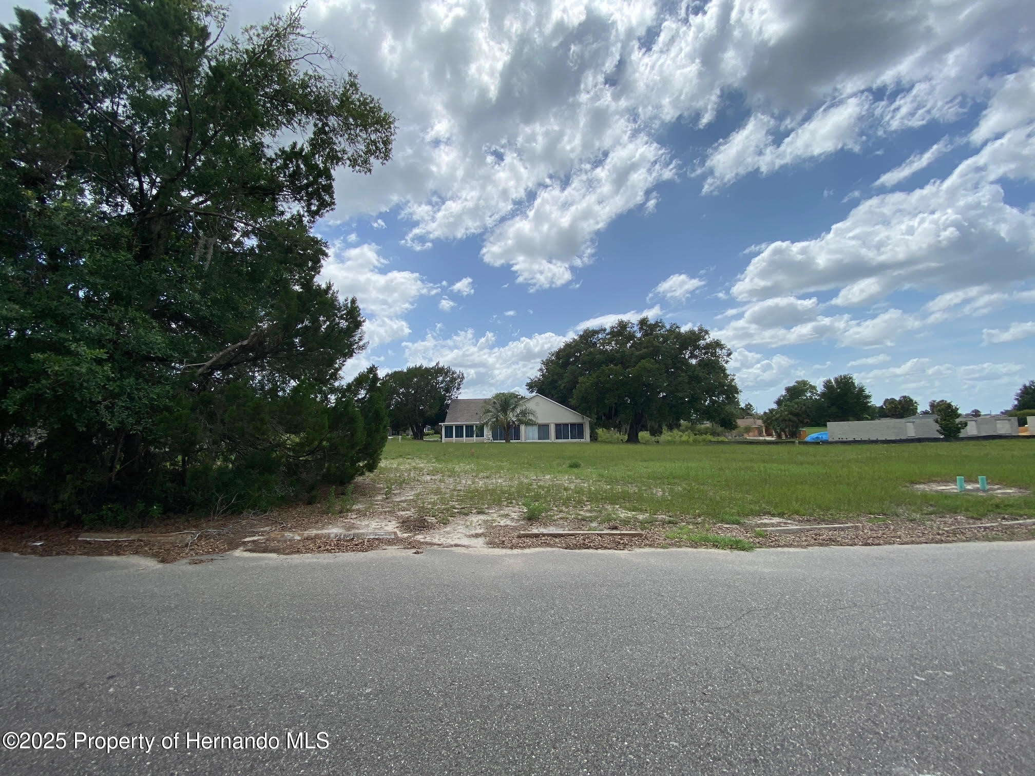 5449 Chestnut Ridge Road Dade City, FL 33523 - Photo 5 of 7